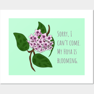 Hoya Bloom Plant Parent Design Posters and Art